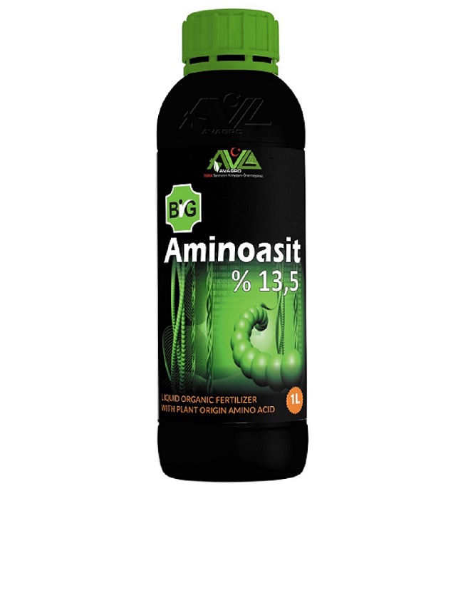 Big Aminoasit 13.5% 1L