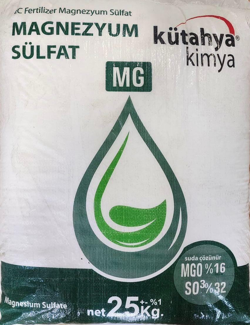 magnesium sulfate  